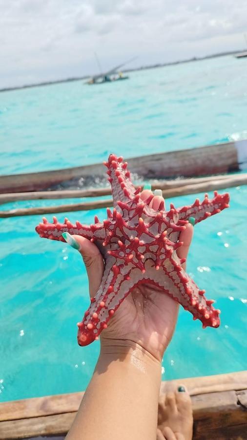 Pamoja Beach Stays Hotel In Jambiani 잠비아니 외부 사진