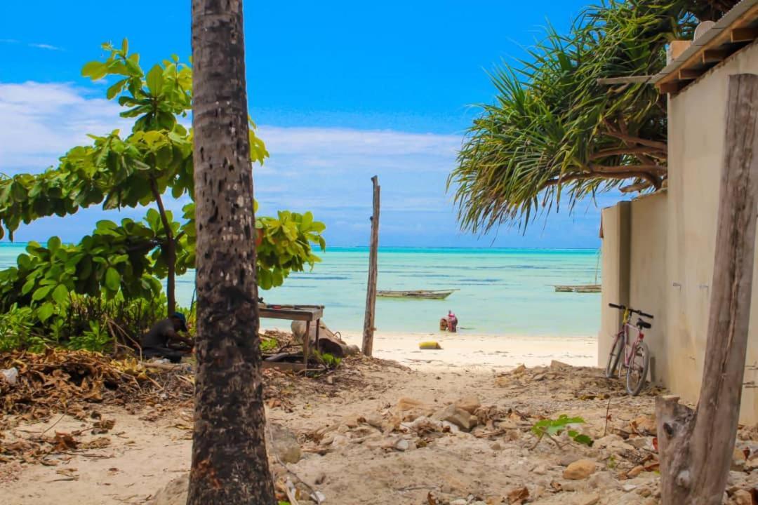 Pamoja Beach Stays Hotel In Jambiani 잠비아니 외부 사진