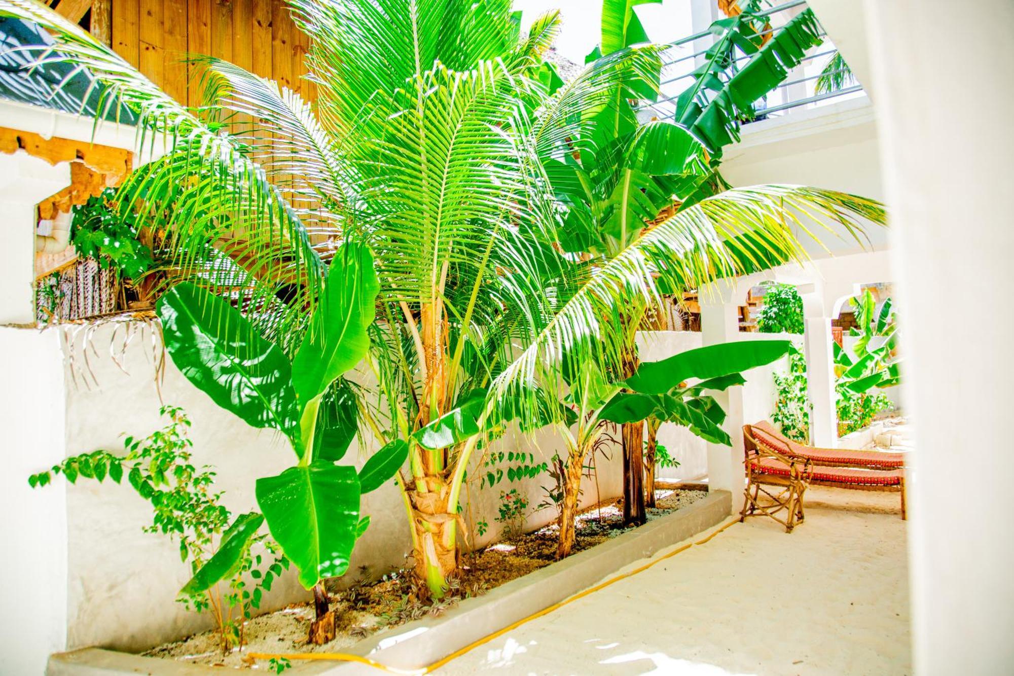 Pamoja Beach Stays Hotel In Jambiani 잠비아니 외부 사진